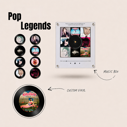 The Magnetic Vinyl Music Box